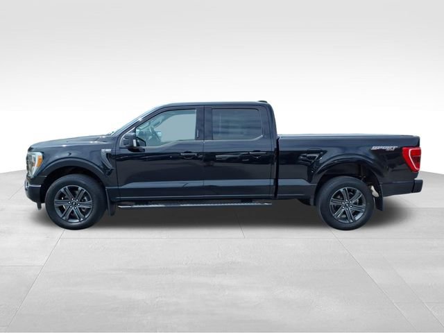 Certified 2023 Ford F150 XLT w/ Equipment Group 302A High image 4