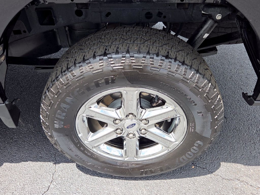 Used 2025 Ford F150 XLT w/ Equipment Group 301A Standard AWD/4WD image 12