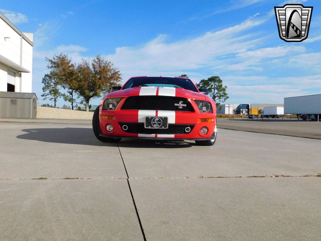 Used 2008 Ford Mustang Shelby GT500 image 24