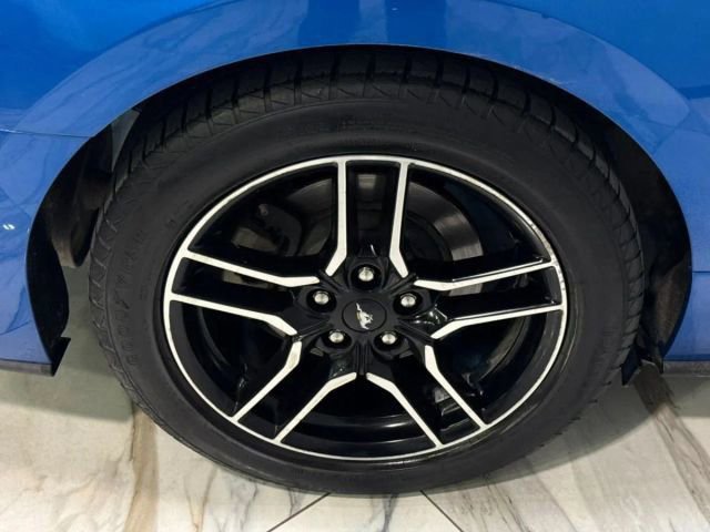 Used 2019 Ford Mustang EcoBoost w/ Equipment Group 101A image 28