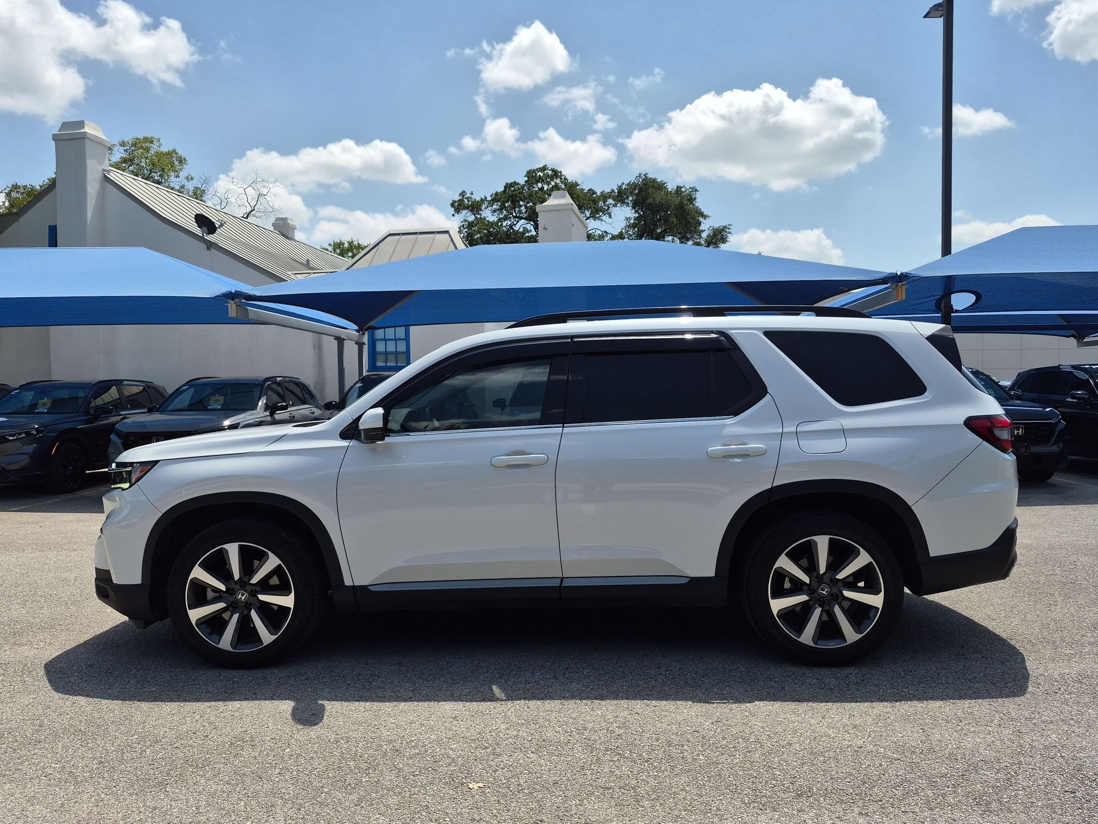 Used 2024 Honda Pilot Elite image 6