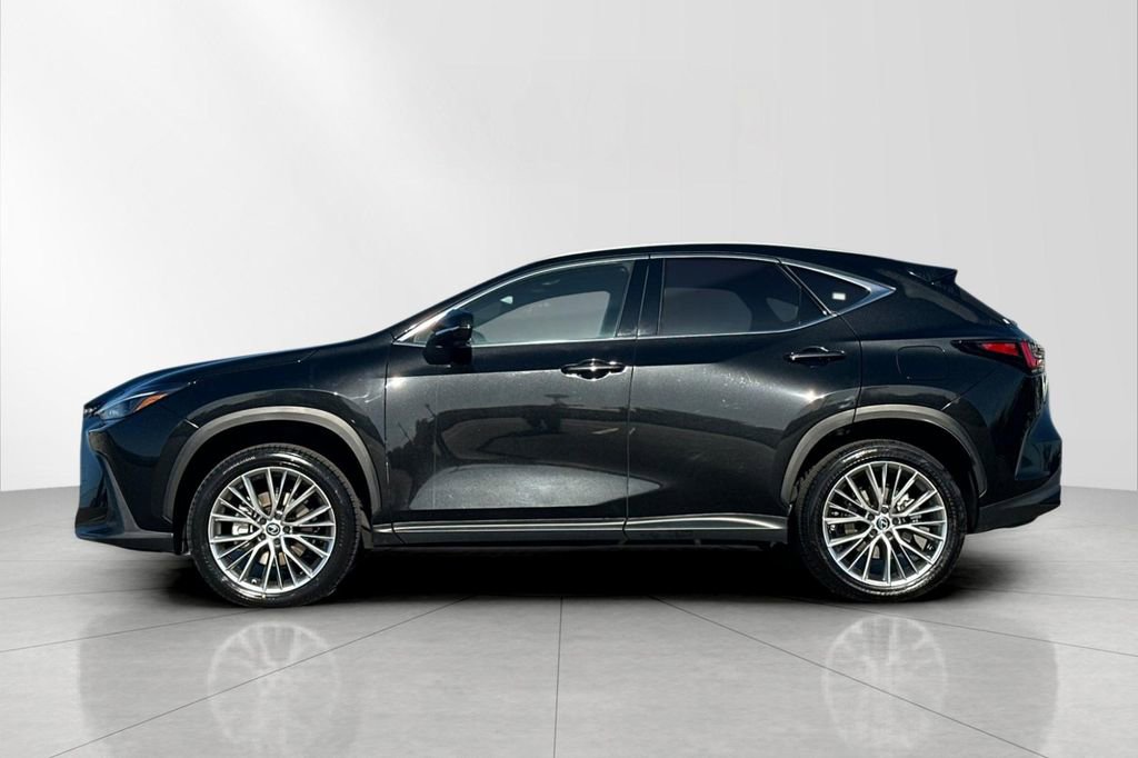 Certified 2025 Lexus NX 350h AWD w/ Cold Area Package image 3