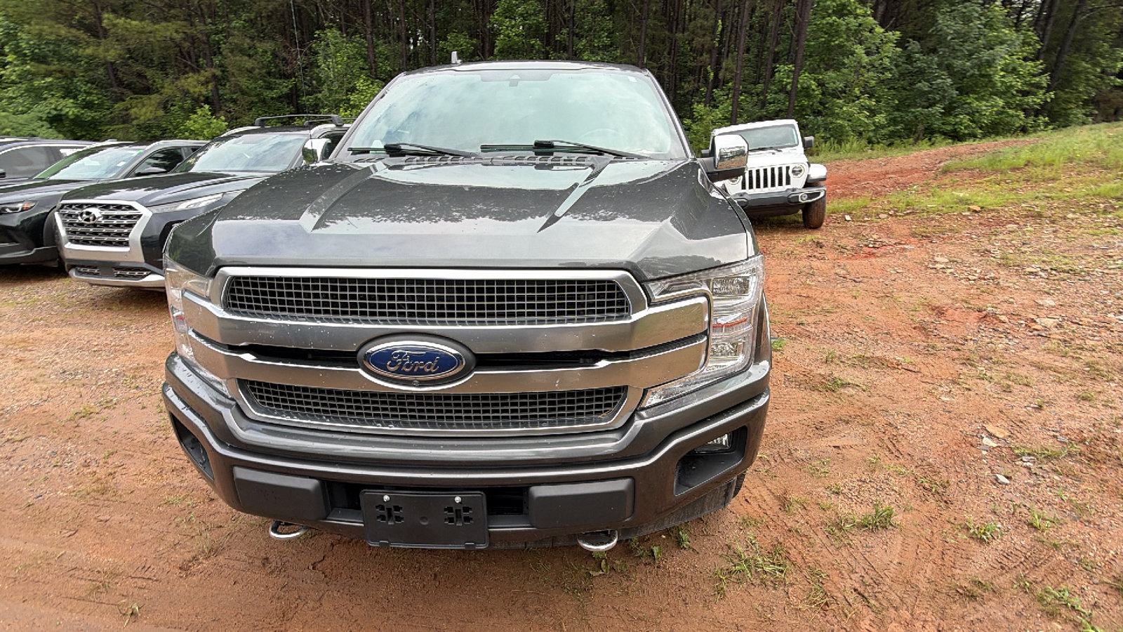 Used 2020 Ford F150 Platinum w/ Equipment Group 701A Luxury AWD/4WD image 3