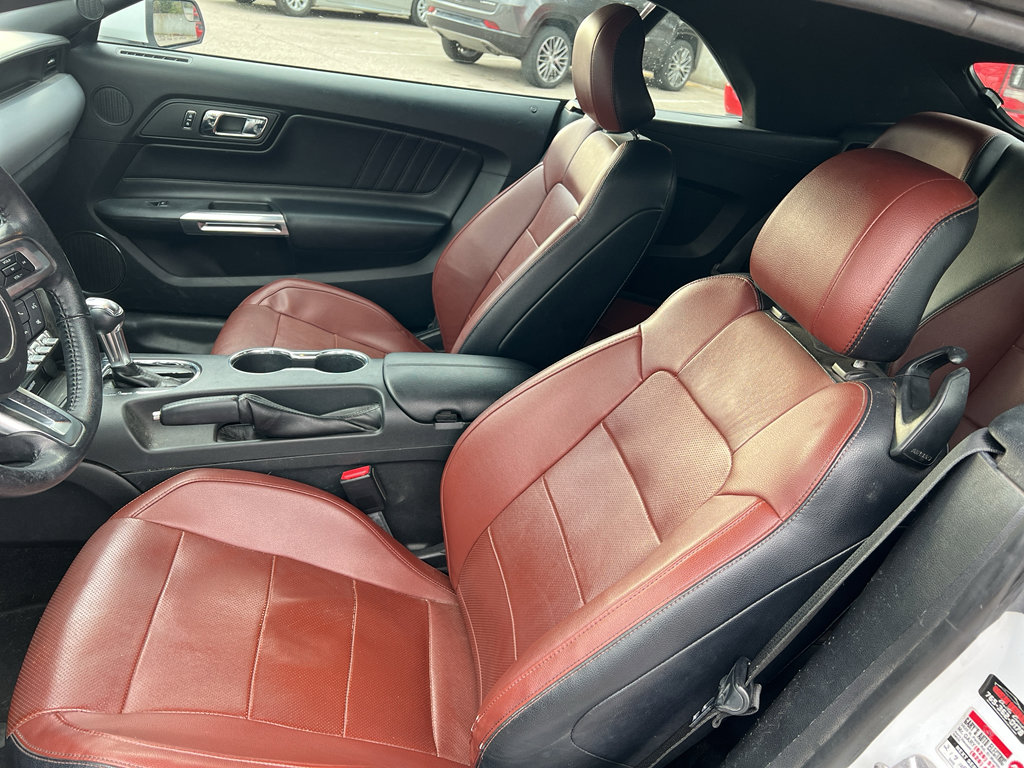 Used 2016 Ford Mustang Premium image 12