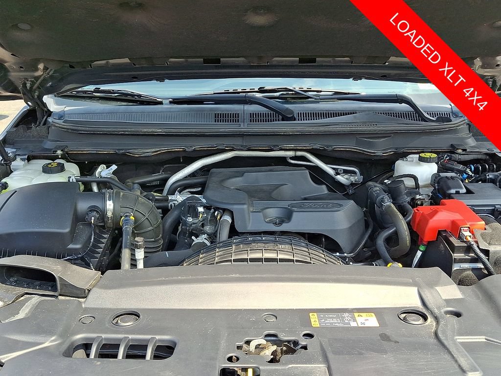 Used 2019 Ford Ranger XLT w/ Equipment Group 301A Mid AWD/4WD image 27