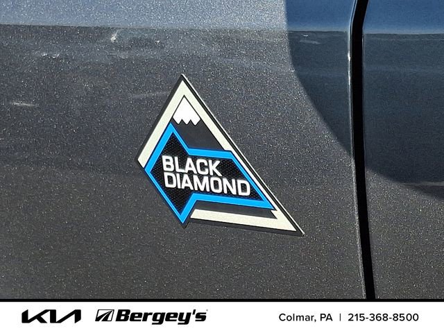 Used 2023 Ford Bronco Black Diamond image 31