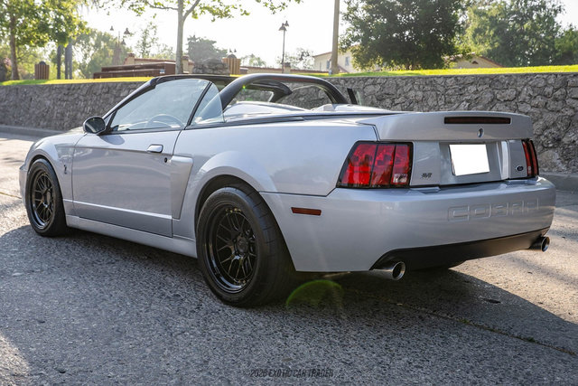 Used 2003 Ford Mustang Cobra RWD image 6