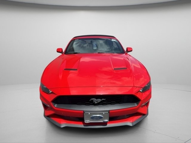 Used 2018 Ford Mustang Premium RWD image 3