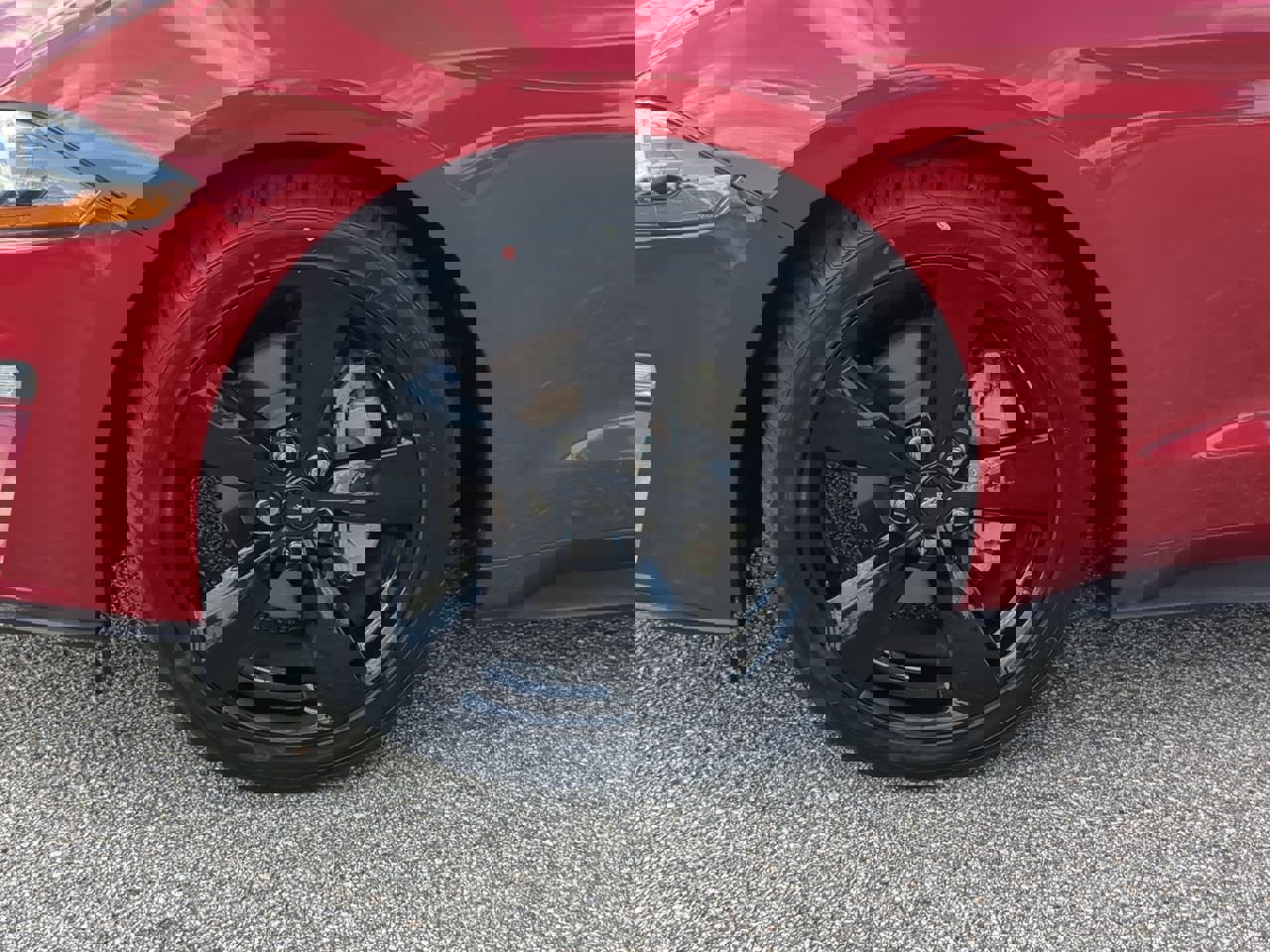 Used 2023 Ford Mustang Coupe w/ Equipment Group 101A image 10