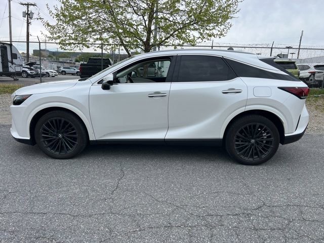 Used 2024 Lexus RX 350h AWD/4WD image 4