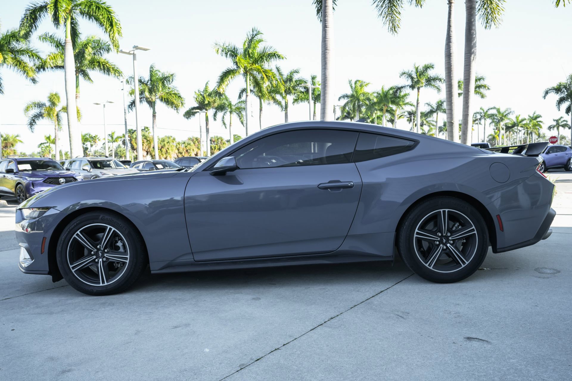 Used 2024 Ford Mustang EcoBoost image 5