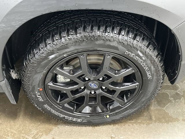 Used 2025 Subaru Crosstrek 2.5i Wilderness image 5