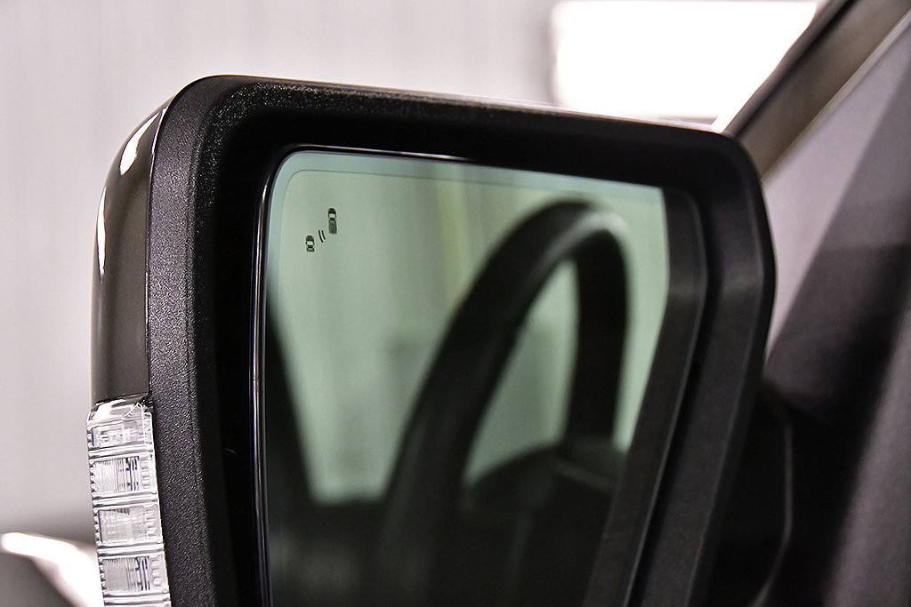 Used 2025 Ford F150 Raptor AWD/4WD image 12