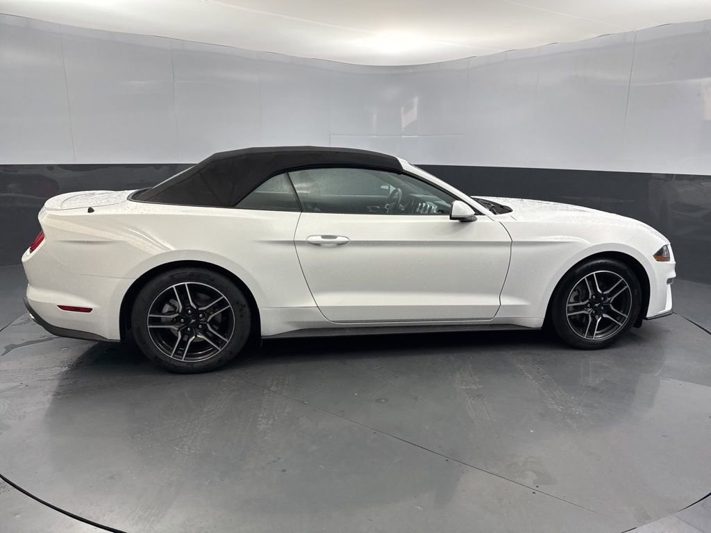 Used 2023 Ford Mustang Premium image 6