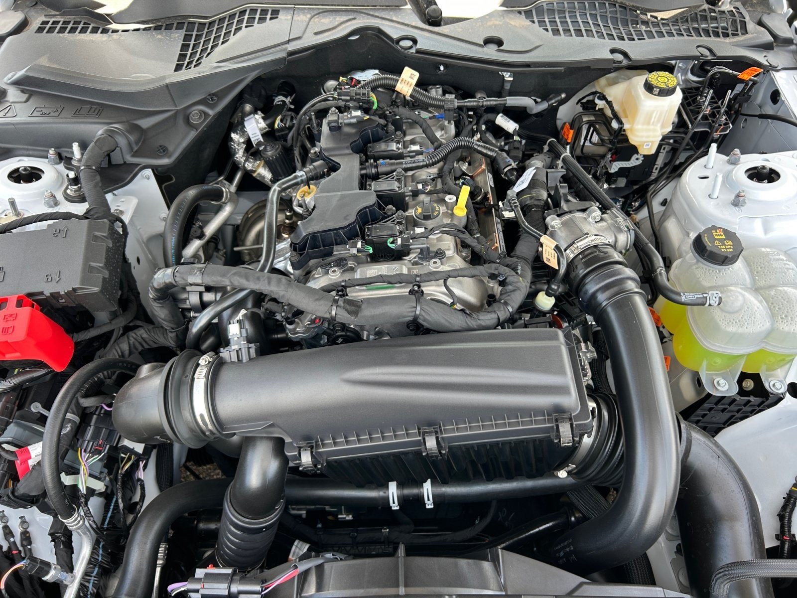 New 2026 Ford Mustang Coupe RWD image 22