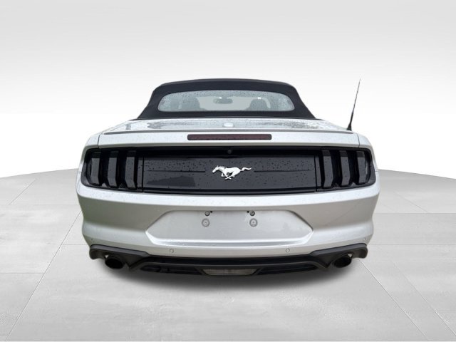 Used 2018 Ford Mustang Premium w/ Equipment Group 201A RWD image 14