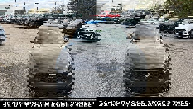 New 2026 Ford Mustang Premium image 5