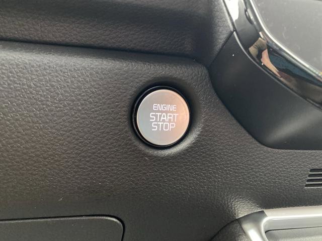 New 2026 Kia Carnival SX Prestige image 34