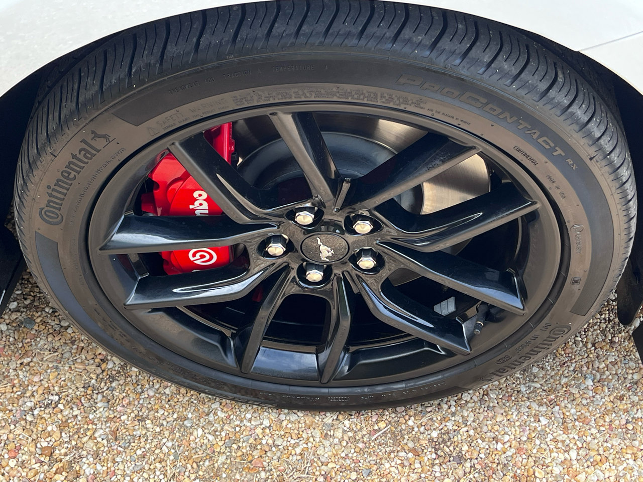 Used 2024 Ford Mustang GT image 14