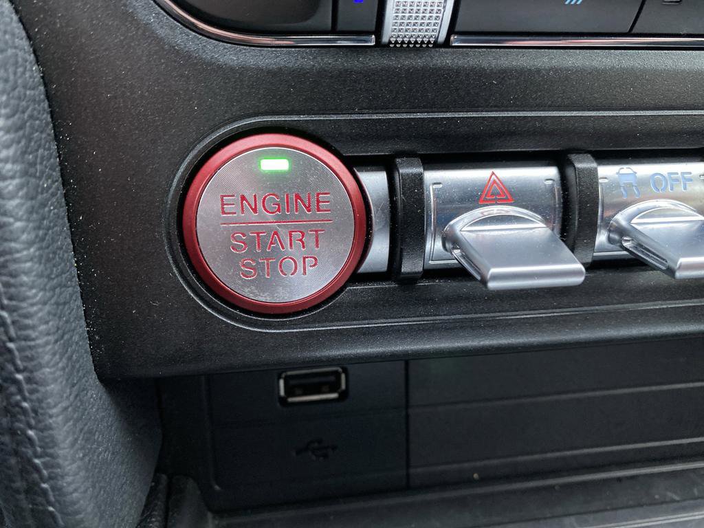 Used 2020 Ford Mustang EcoBoost w/ Equipment Group 101A image 45