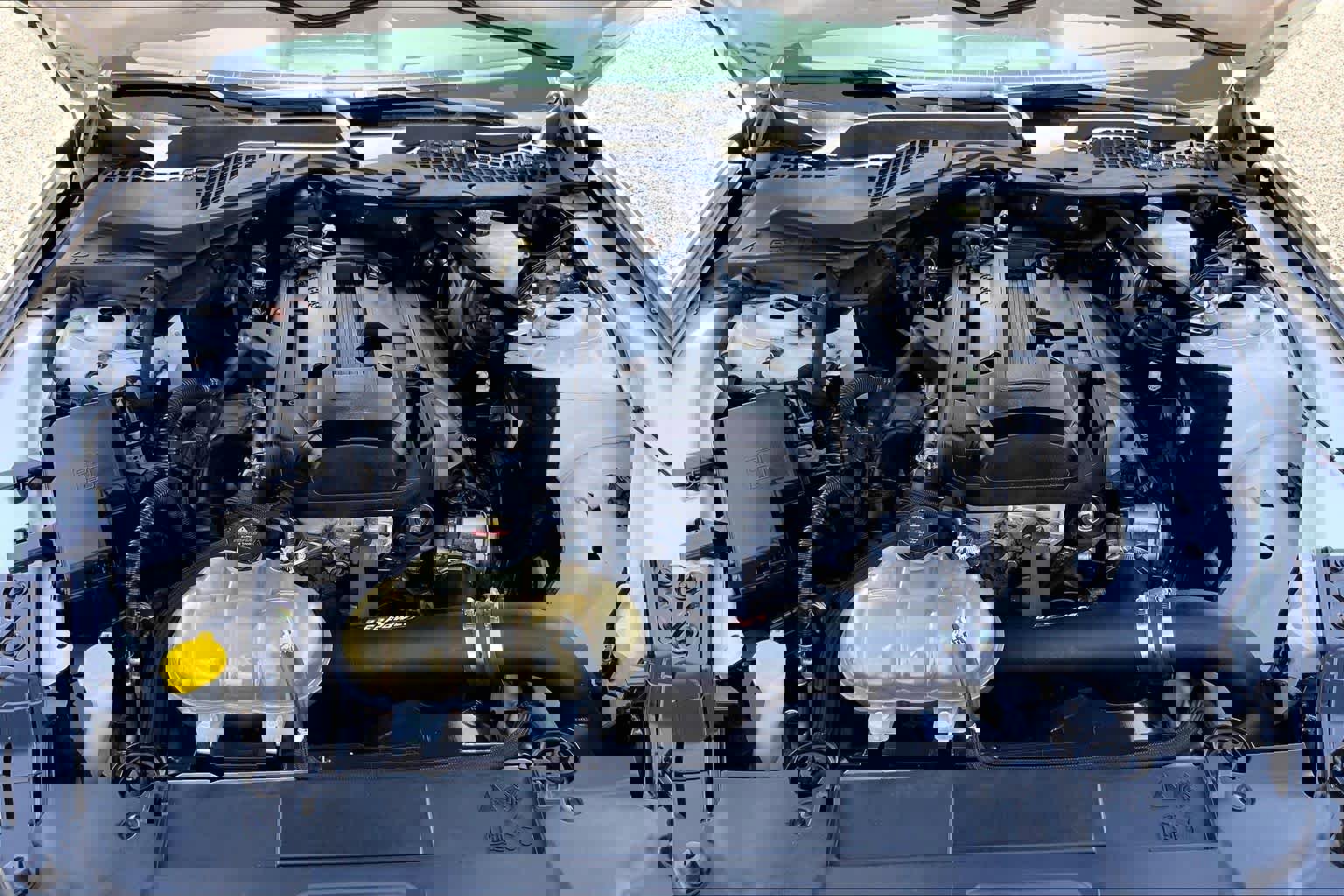 Used 2019 Ford Mustang Premium RWD image 31