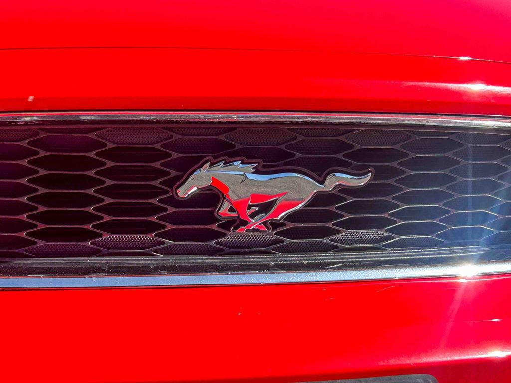 Used 2014 Ford Mustang Coupe w/ Equipment Group 102A RWD image 6