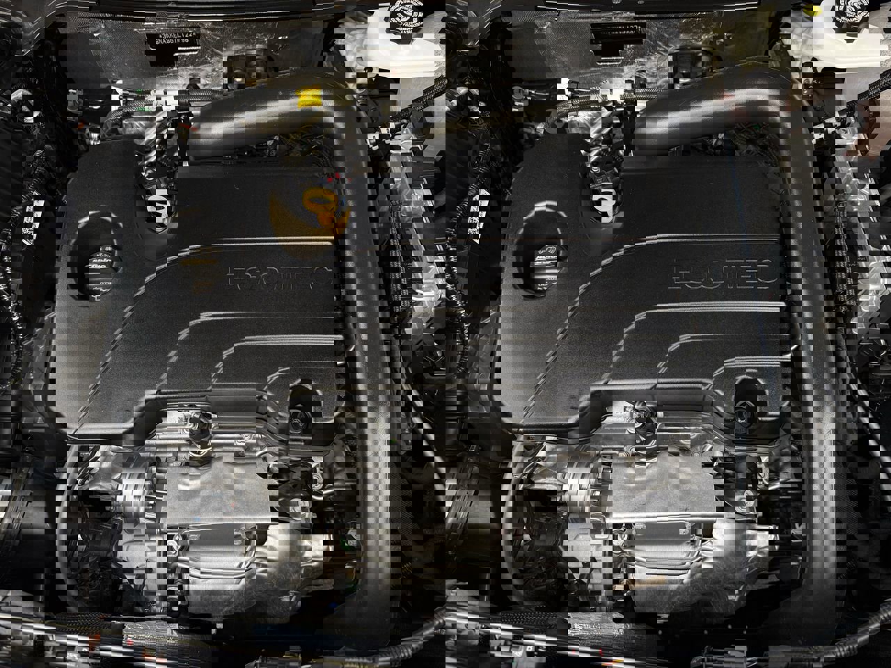 Certified 2026 Chevrolet Equinox ACTIV w/ Convenience Package III image 26