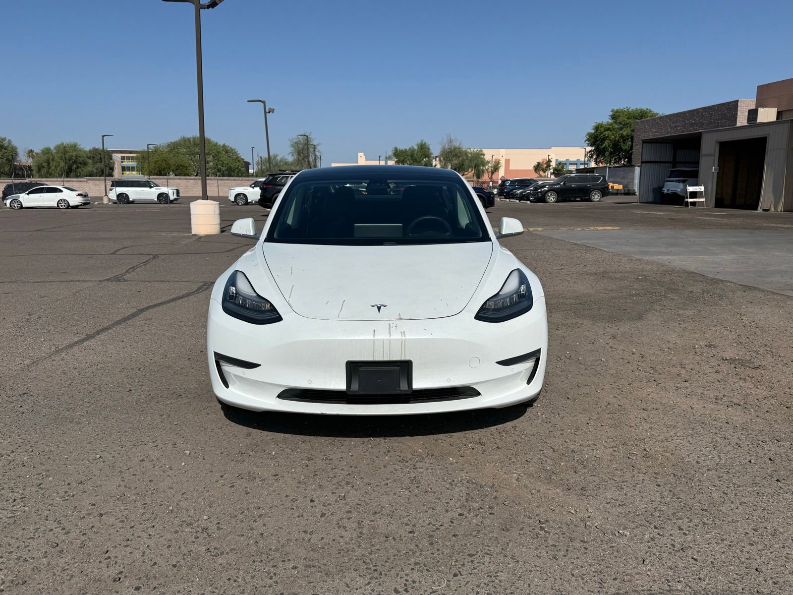 Used 2020 Tesla Model 3 Standard Range RWD image 2