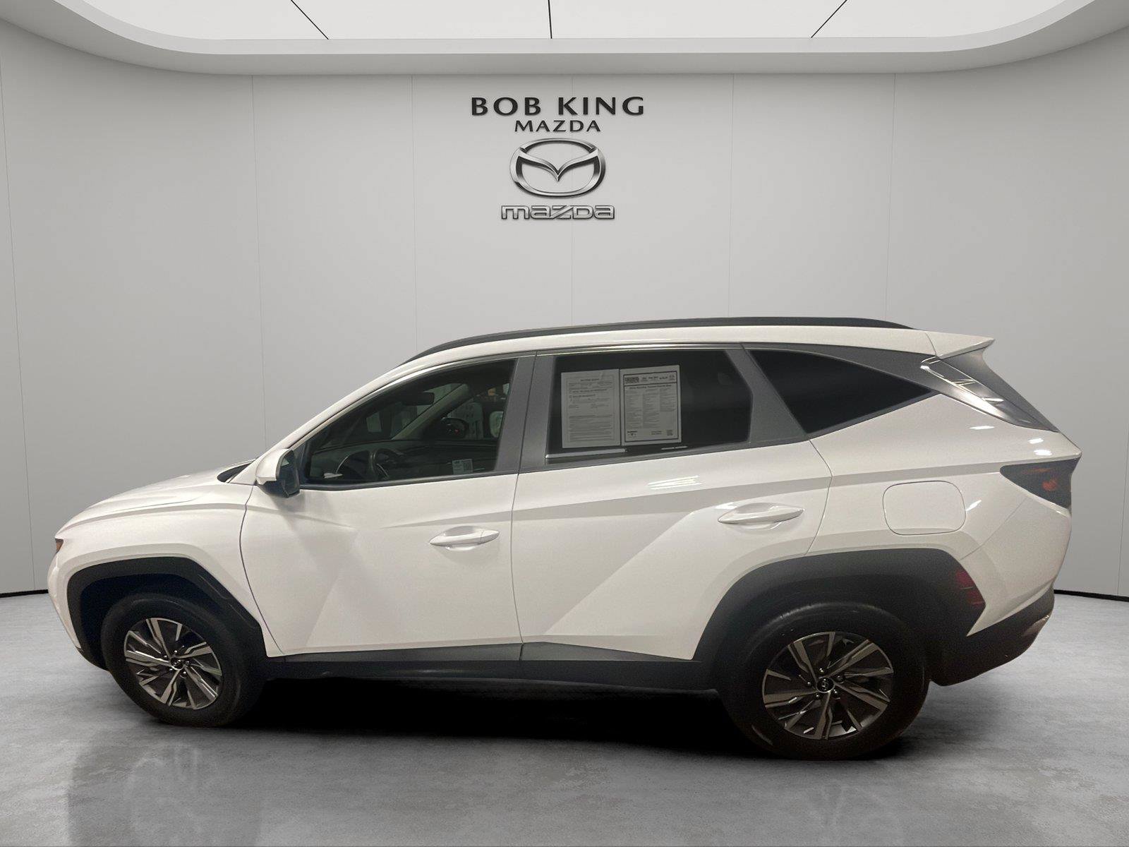 Used 2024 Hyundai Tucson Blue AWD/4WD image 2
