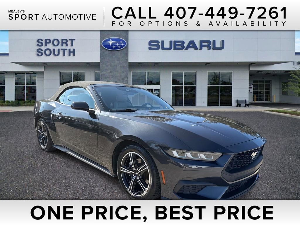 Used 2024 Ford Mustang Premium image 1