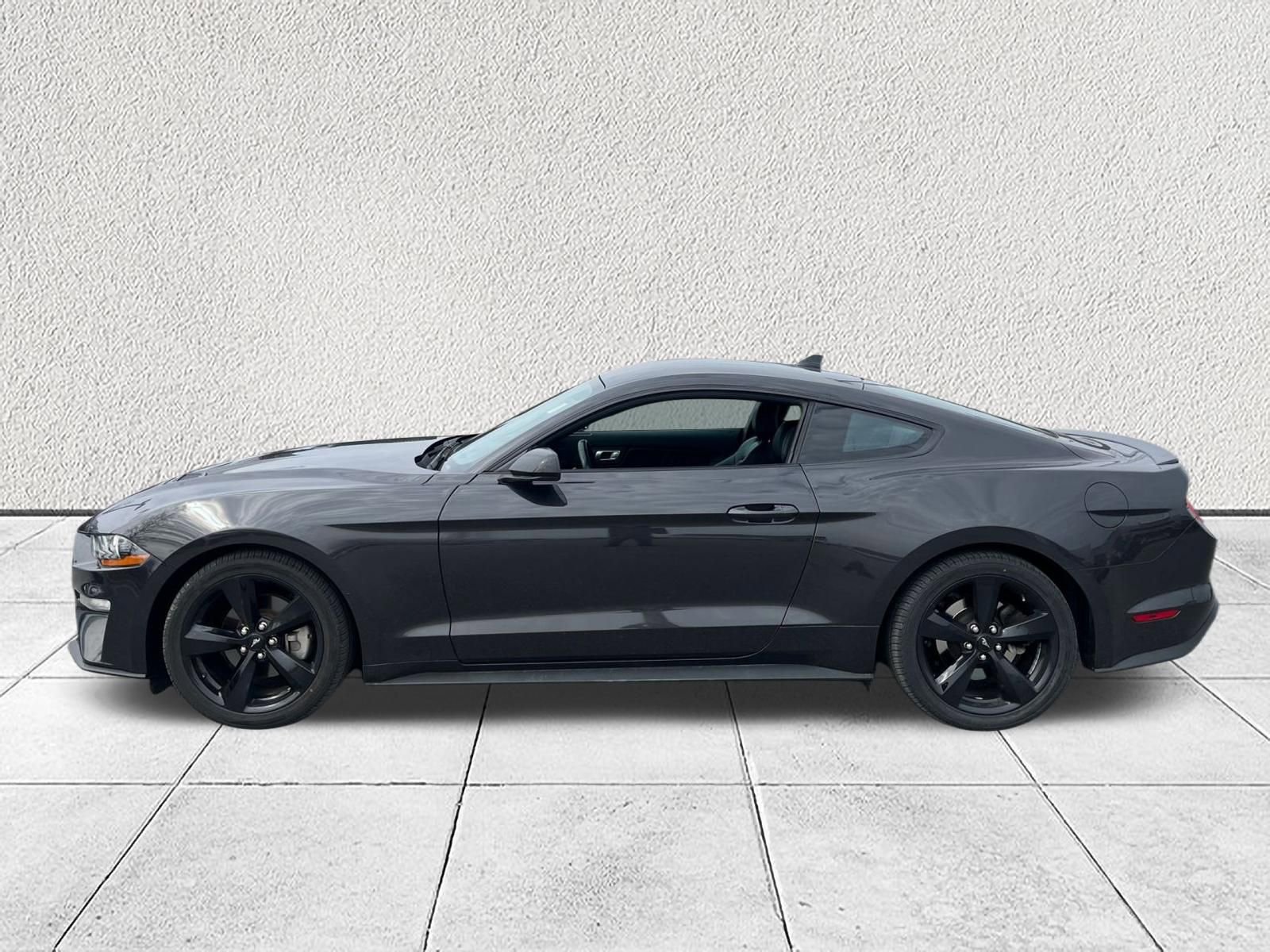 Used 2023 Ford Mustang Premium w/ Mustang Nite Pony Package image 5