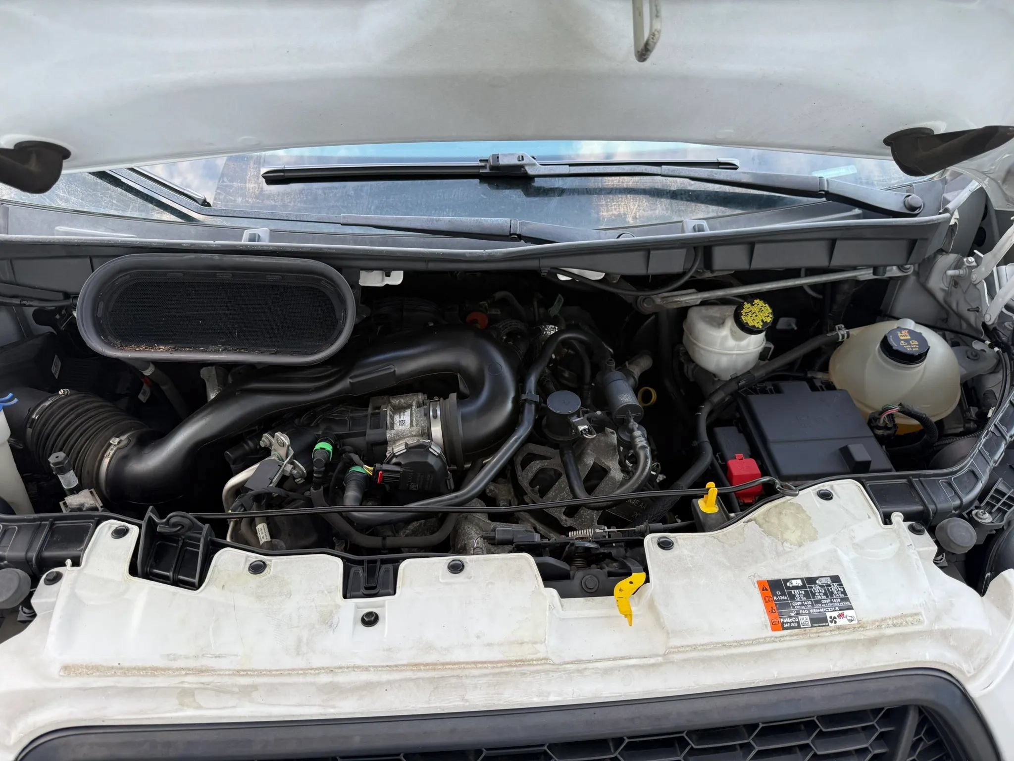 Used 2021 Ford Transit 150 Low Roof RWD image 38