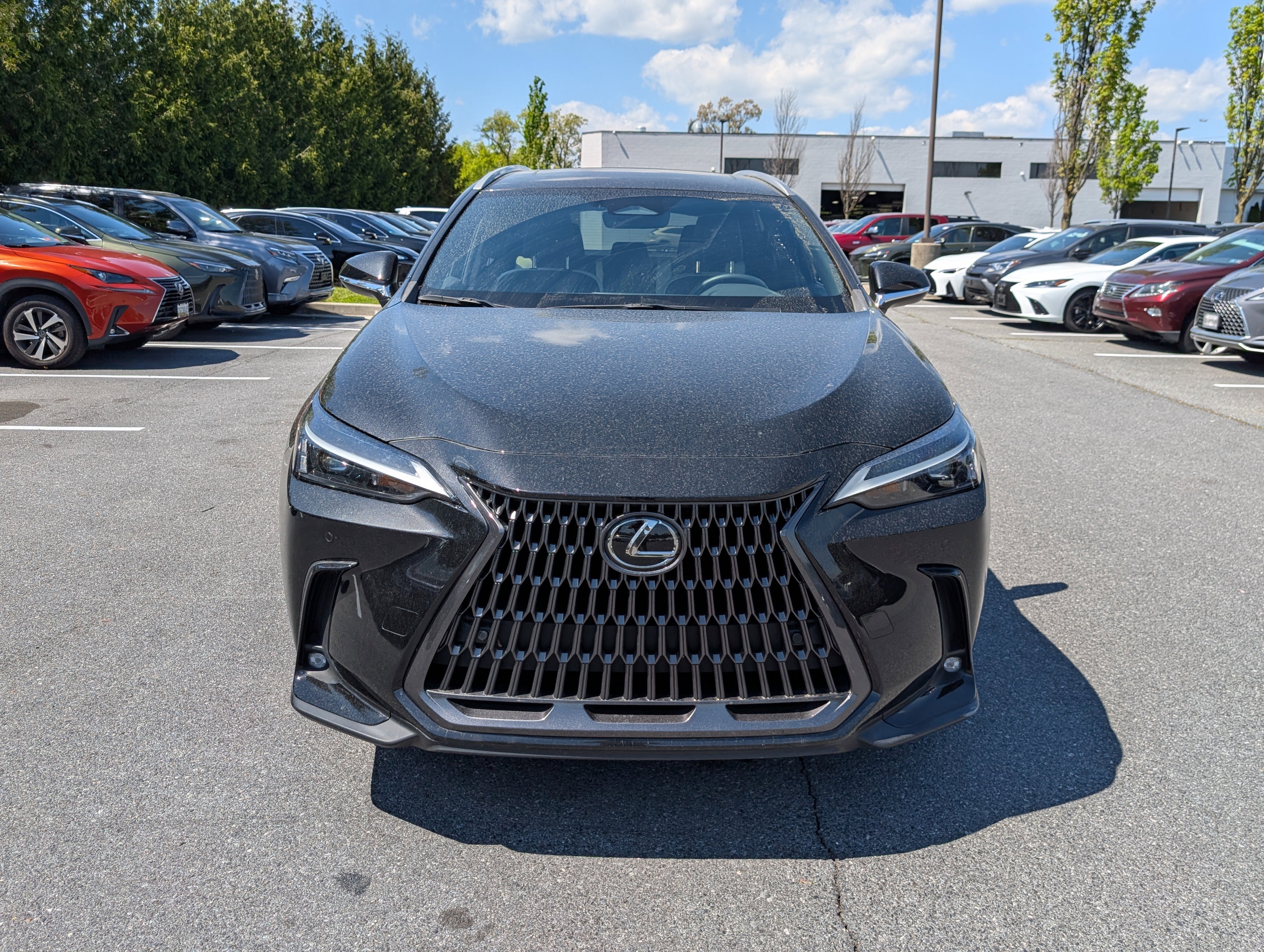 Used 2024 Lexus NX 350 AWD image 8