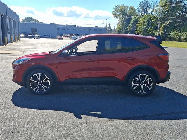 Used 2022 Ford Escape SE w/ SE Sport Appearance Package image 7