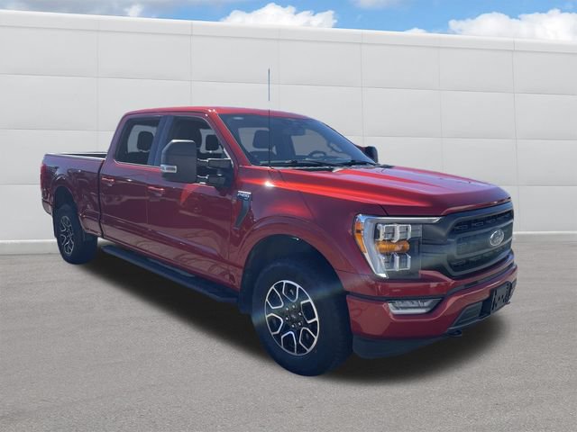 Used 2023 Ford F150 XLT w/ Equipment Group 302A High AWD/4WD image 8
