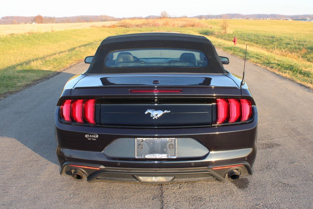 Used 2023 Ford Mustang Premium image 6