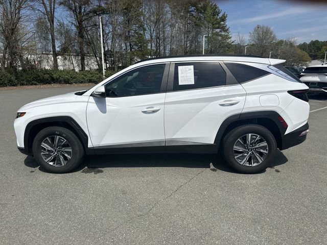 Used 2023 Hyundai Tucson Blue image 2