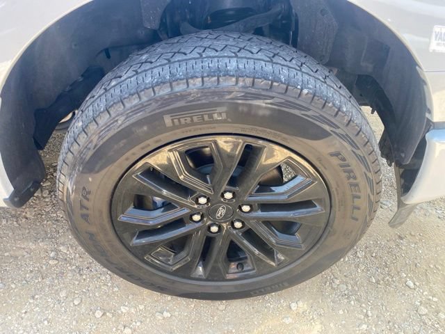 Used 2025 Ford F150 XLT w/ Equipment Group 303A High AWD/4WD image 29