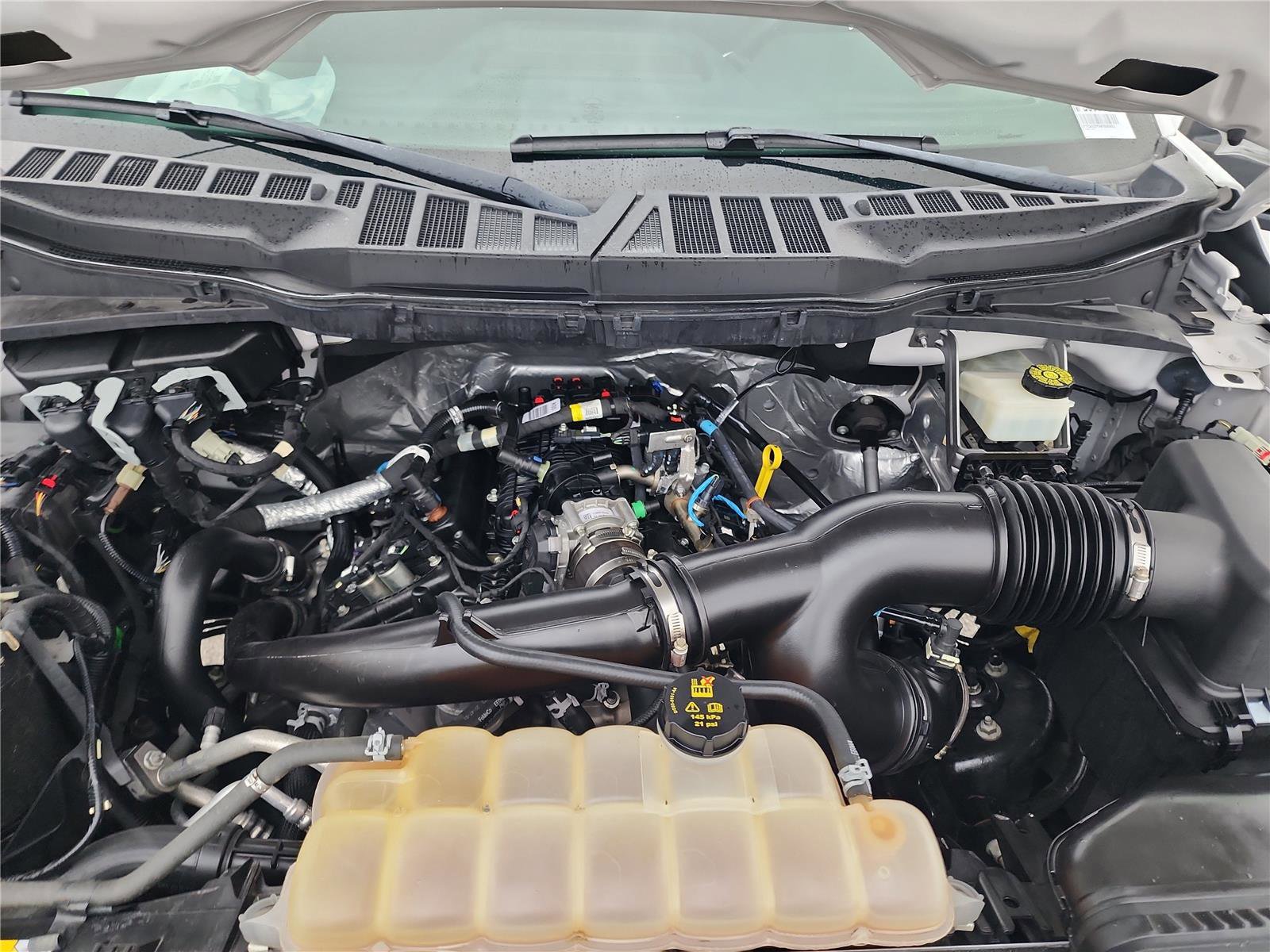 Used 2022 Ford F150 XL w/ STX Black Appearance Package AWD/4WD image 16