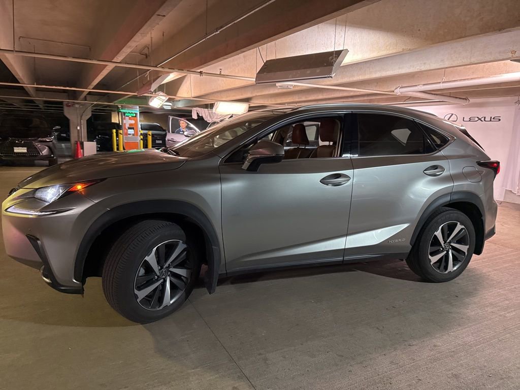 Used 2020 Lexus NX 300h AWD w/ Premium Package image 4