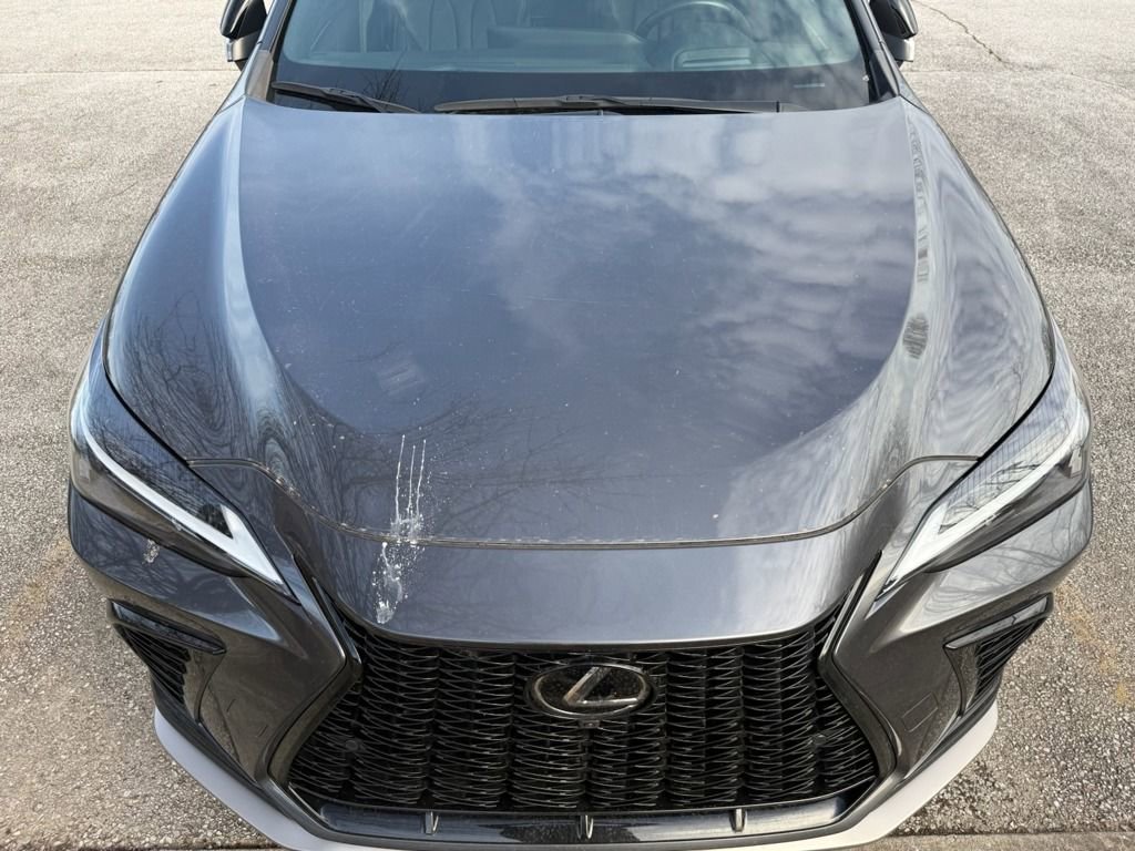 Certified 2024 Lexus NX 350 F Sport image 6