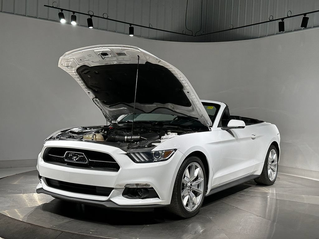 Used 2015 Ford Mustang Premium w/ Equipment Group 201A RWD image 17