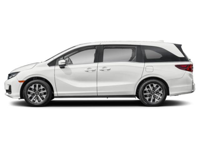 New 2026 Honda Odyssey EX-L video 3