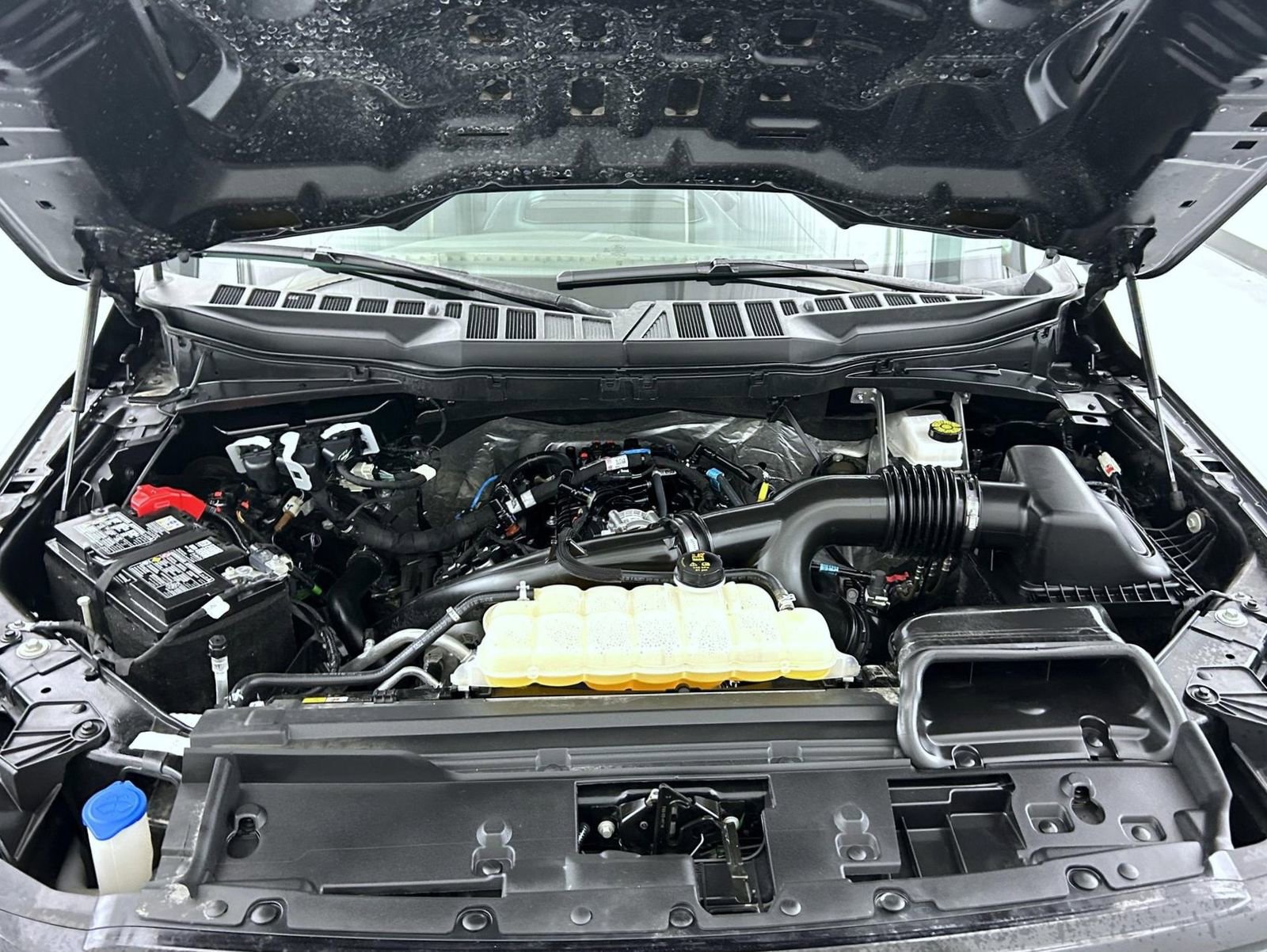 Used 2025 Ford F150 XLT w/ Equipment Group 301A Standard image 24