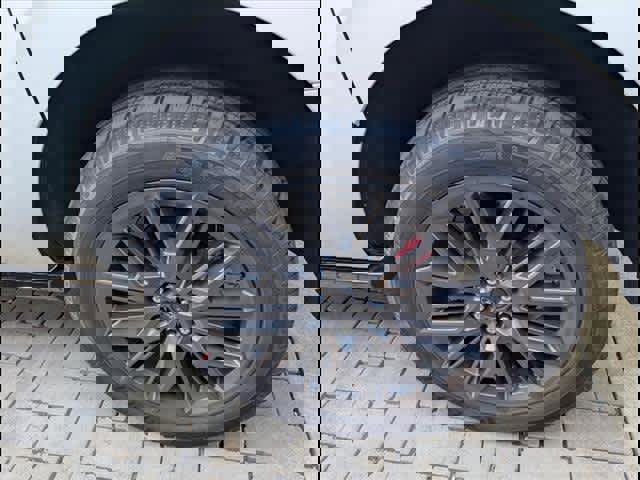 New 2025 Ford Expedition Max Platinum image 4