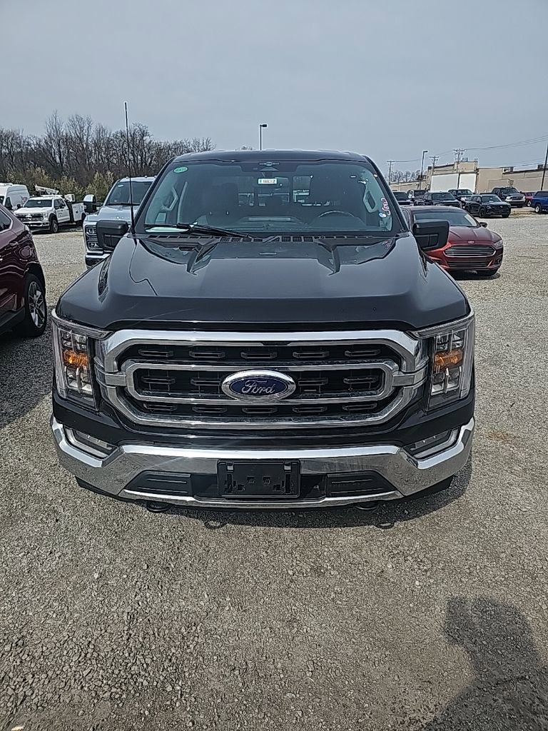 Used 2023 Ford F150 XLT w/ Equipment Group 302A High