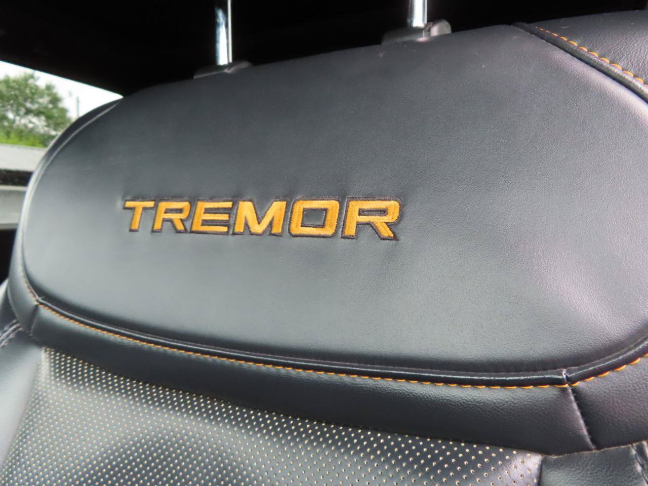 Used 2022 Ford F150 Tremor w/ Equipment Group 402A High AWD/4WD image 31