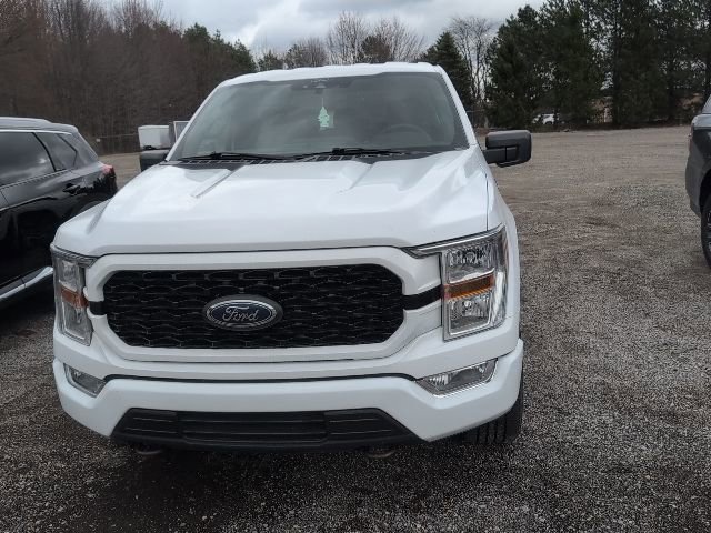 Used 2021 Ford F150 XL w/ STX Appearance Package AWD/4WD image 2