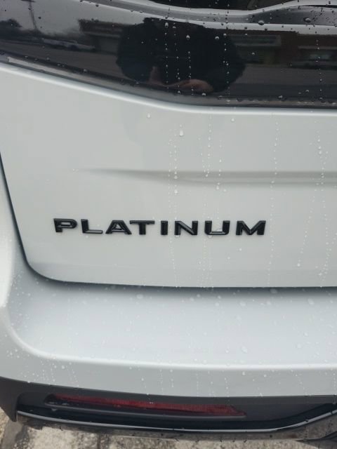 New 2025 Ford Expedition Platinum w/ Stealth Performance Package image 10