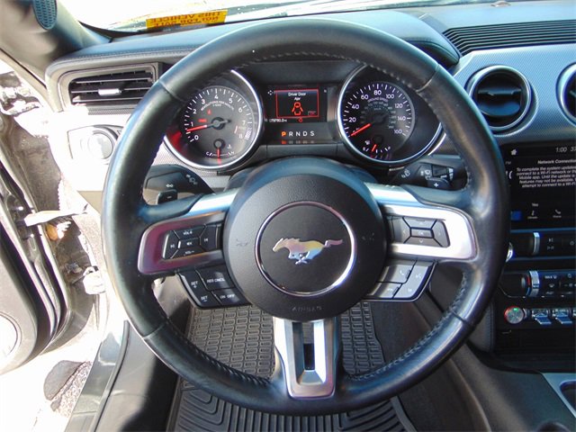 Used 2019 Ford Mustang GT w/ Equipment Group 301A image 15